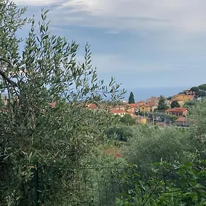  Appartamento Case Giardino